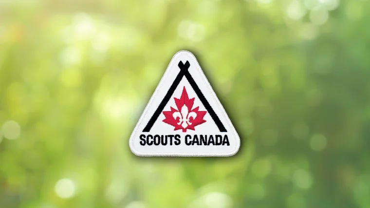  scout在哪个队 